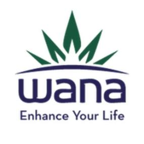 Wana - Quick Blue Slushy 100mg