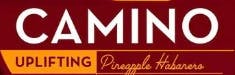 Camino | Pineapple Habenero Gummies | 10x20mg
