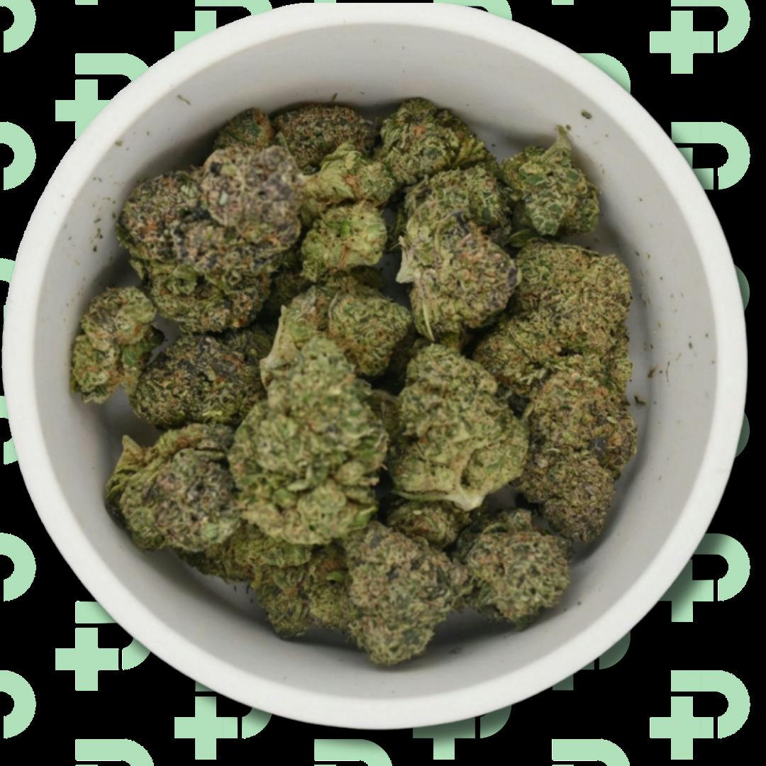 Lemon Dawg Head