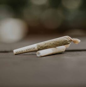 Seed & Smith-Preroll Pack-7 x .5g-Funky Monkey (H)