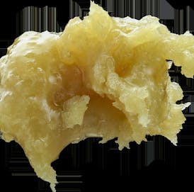 Apple of My Eye Live Rosin 1G