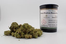 Gary Peyton Runts Flower - I 7G