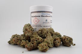 Rainbow Sherbert Select Flower - I 7G
