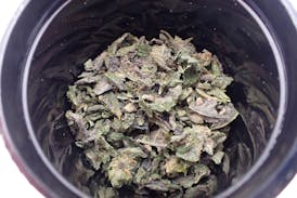 SherbannerZZ Shake - I 14G