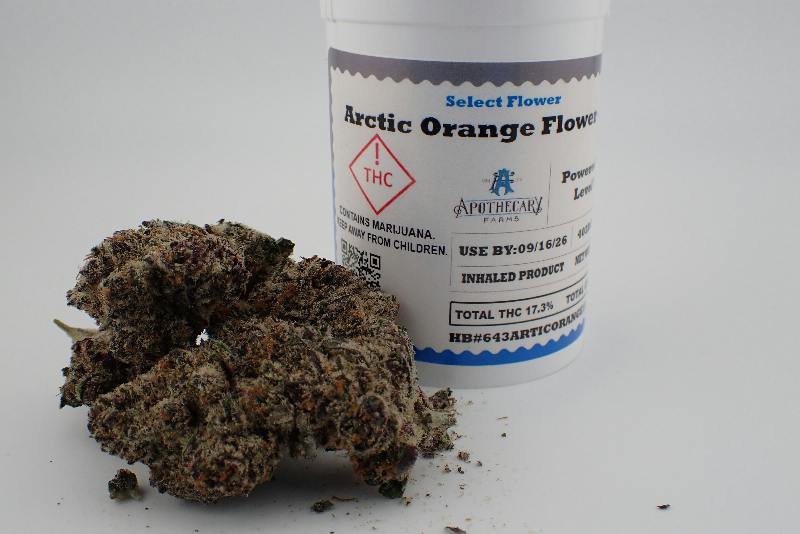 Arctic Orange Select Flower - S 7G