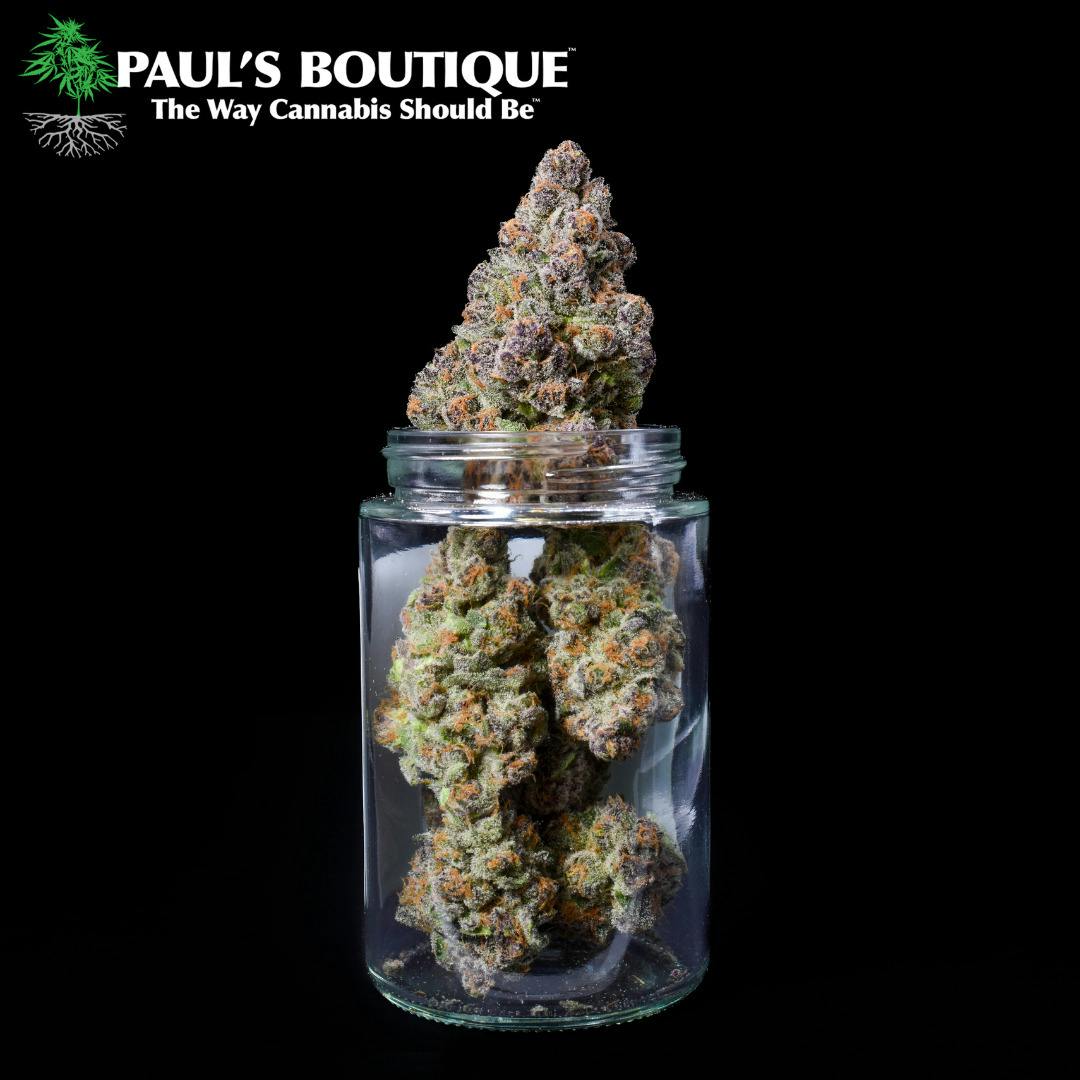 Paul's Boutique - Thai x ECSD Cryo Kush 3.5G