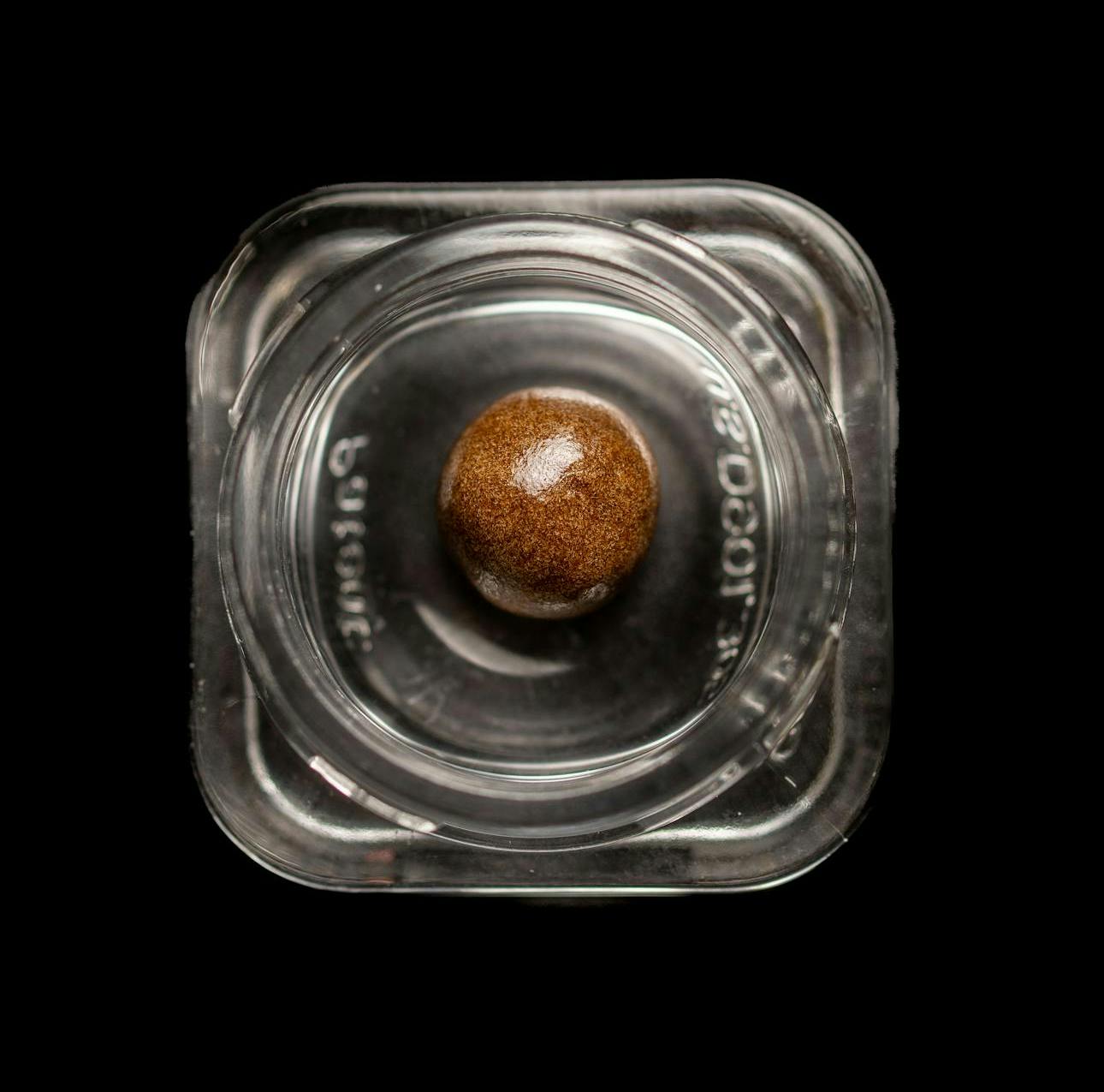 Jar Co. - Violet Vixen Traditional Hashish 1G