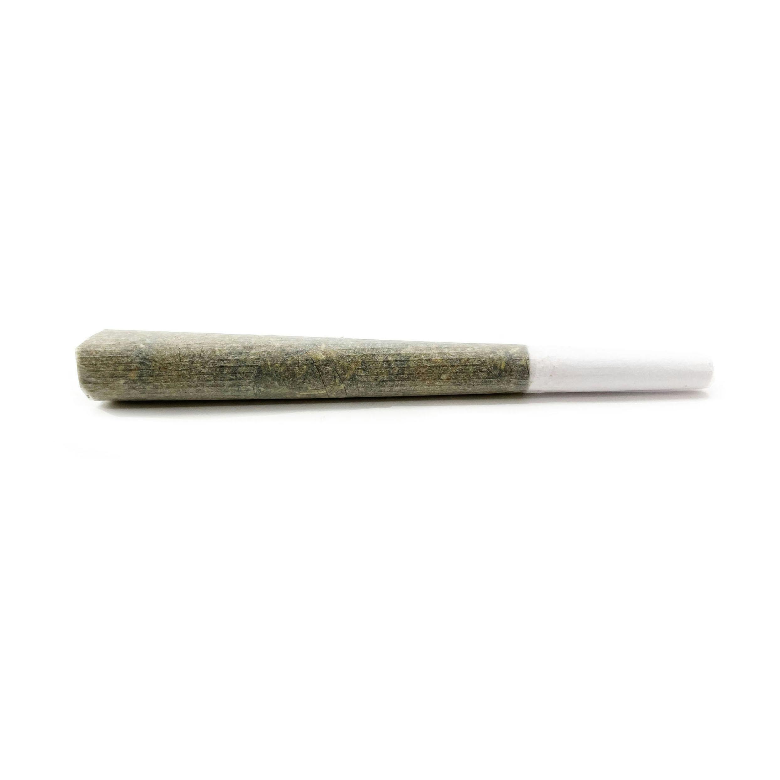 Doja Direct Orange Z Preroll Rec