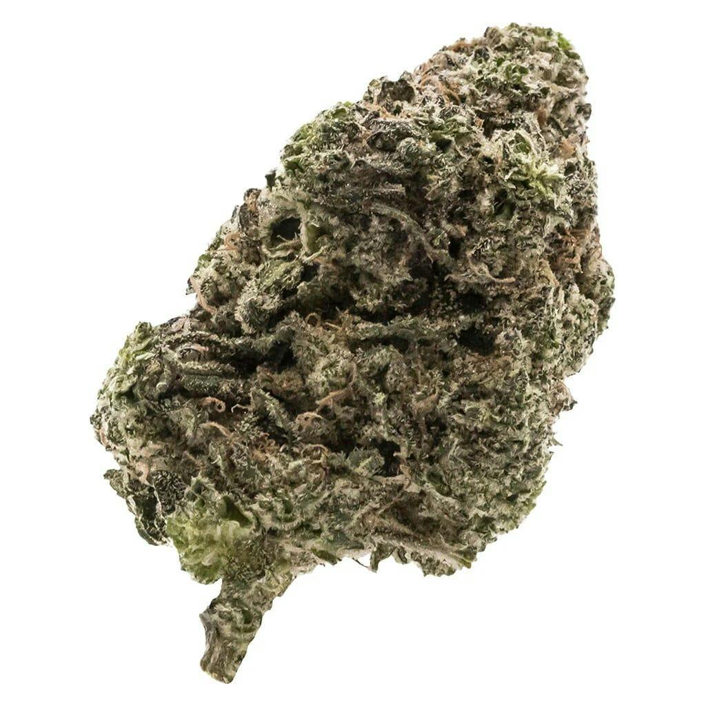 Jungle Fumes - 14g