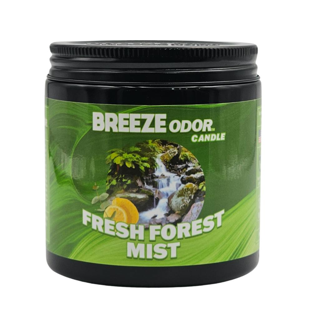 13oz Candle - Fresh Forest Mist