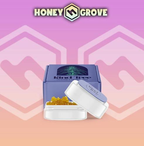 Kind Tree | Banana Tree | Live Resin Sugar