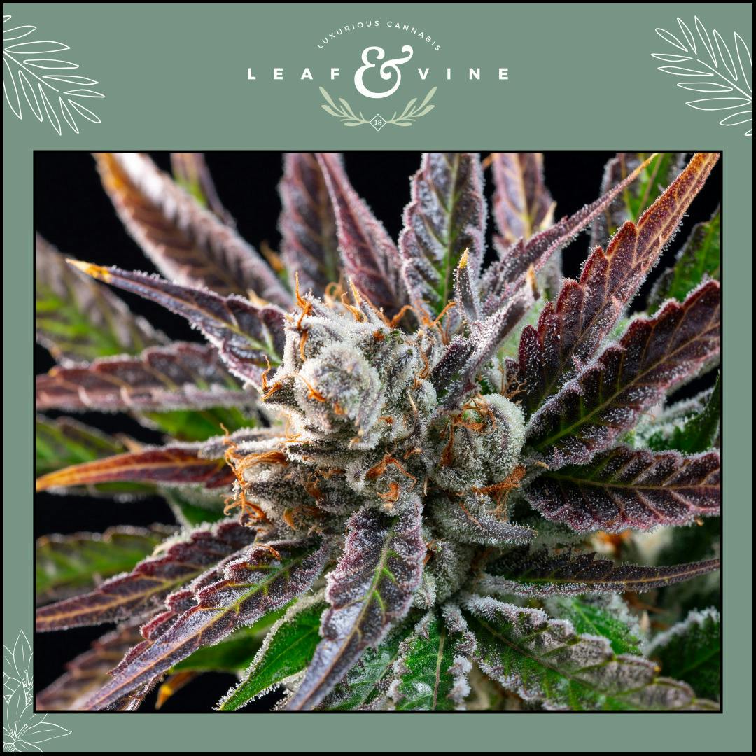 Leaf & Vine Skinny Minny 3.5g Prepack