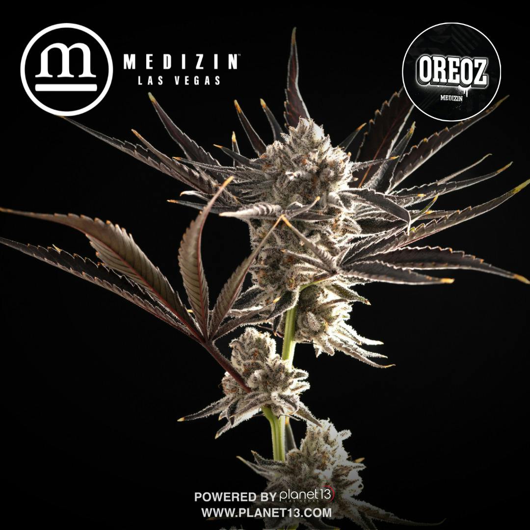 Medizin Oreoz 1g Preroll