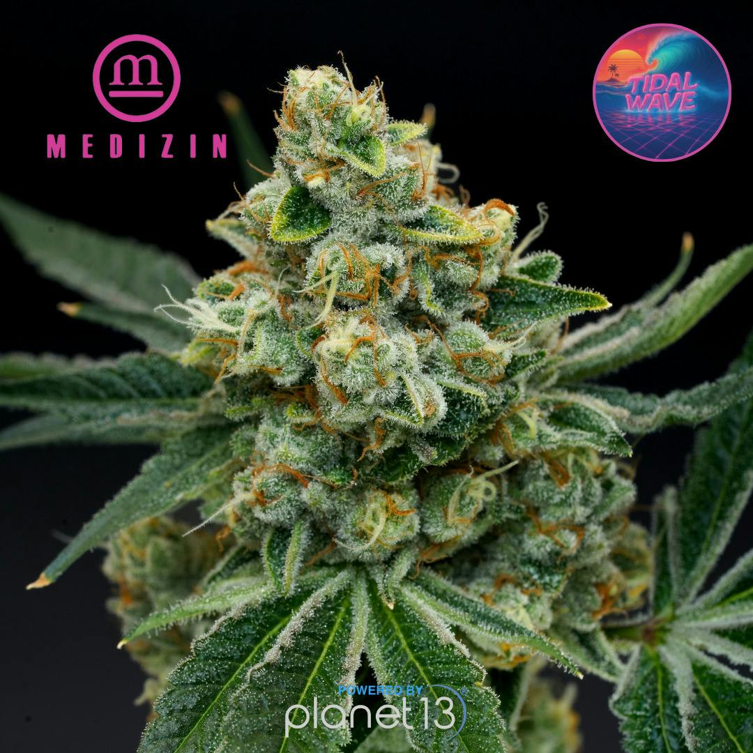Medizin Tidal Wave 3.5g Prepack