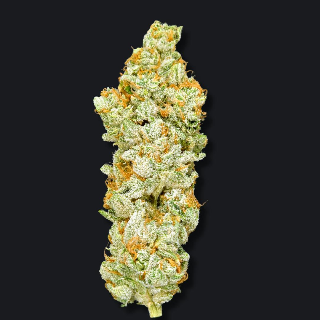 Medizin Dark Rainbow 3.5g Prepack