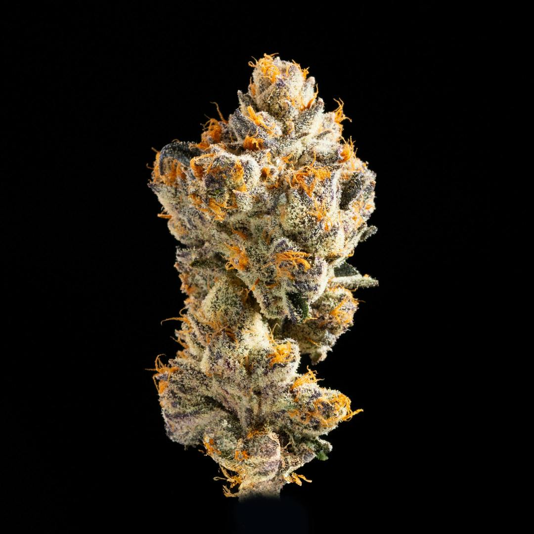 Medizin Gary Poppins 7g Prepack