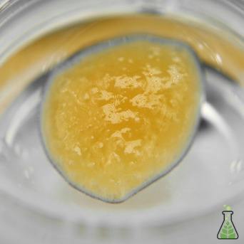 SAUCE - Coke Ritz (I) at DDM Cannabis | Blackstone, MA Dispensary