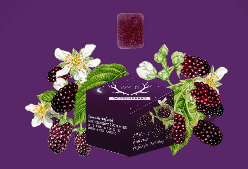 WYLD - Boysenberry 1:1:1 (I) 100mg Gummies