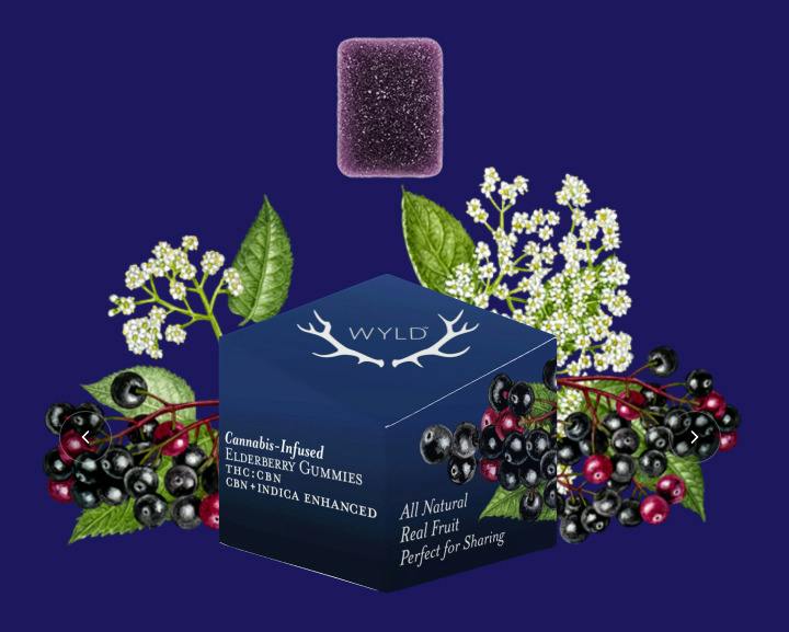 WYLD - Elderberry 2:1 (I) 100mg Gummies