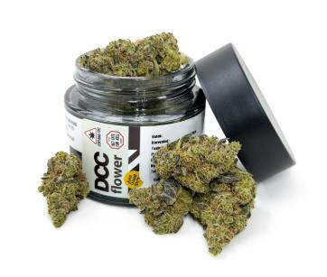 BUDS - Purple Churro (H)