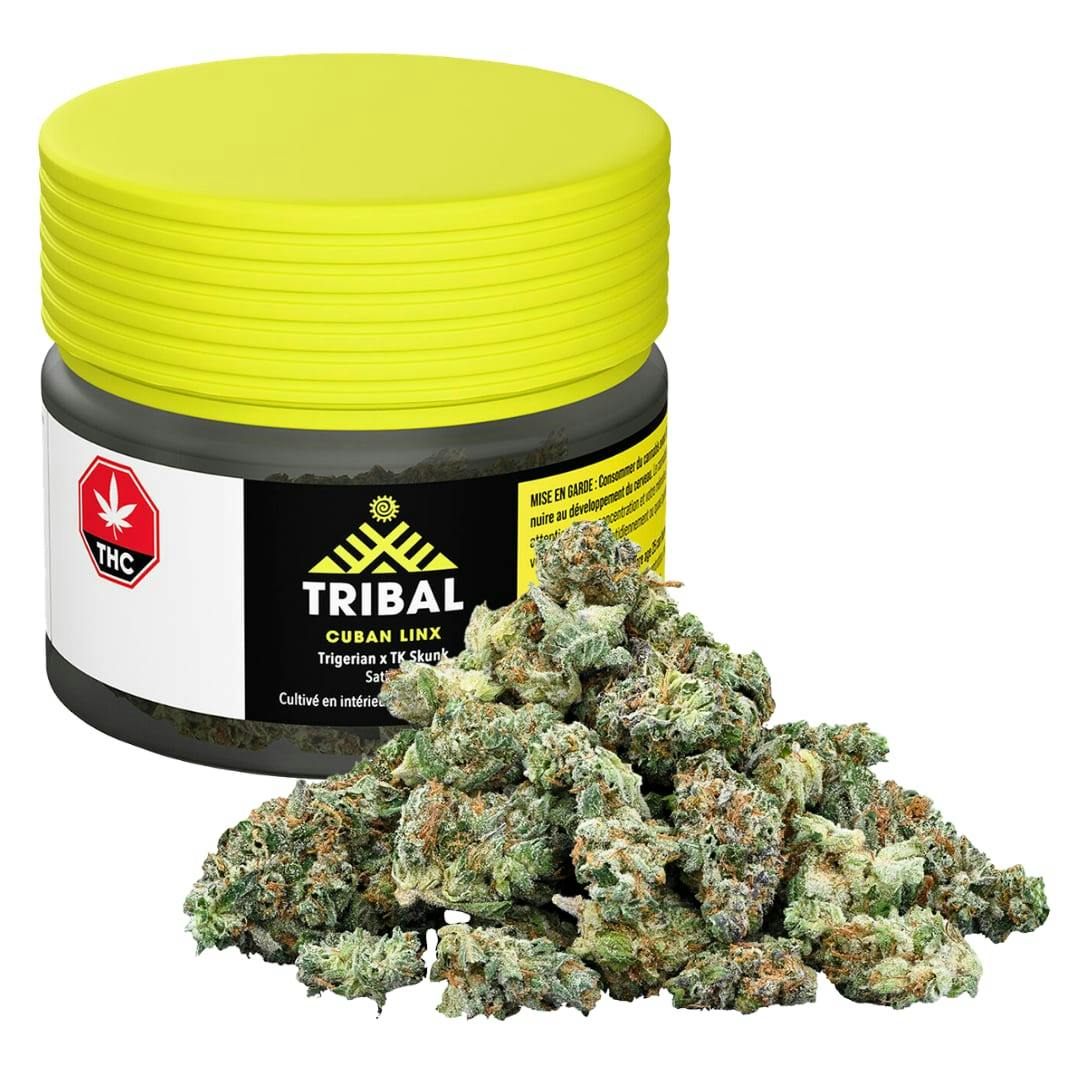 Cuban Linx | 14g | Tribal