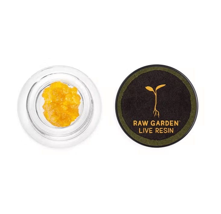 Raw Garden - Beach Party (H) -1g - Live Resin - Retail