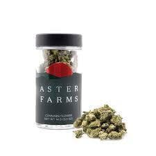 Aster Farms — Cherry Dosi