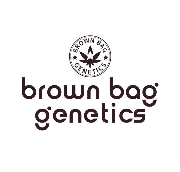 Brown Bag — Cane