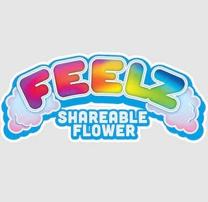 Feelz — Space Cowboy