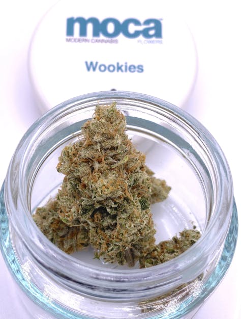 MOCA — Wookies