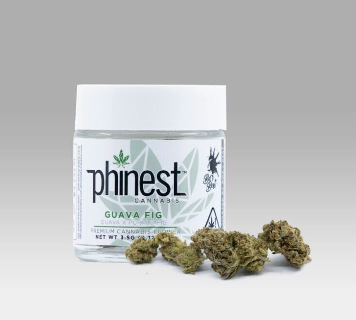 Phinest — Guava Fig