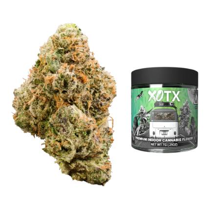 XOTX - Jelly Donuts 7g - 7 g