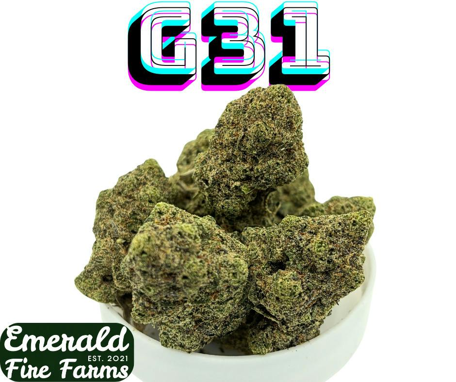 G31 - Emerald Fire Farms