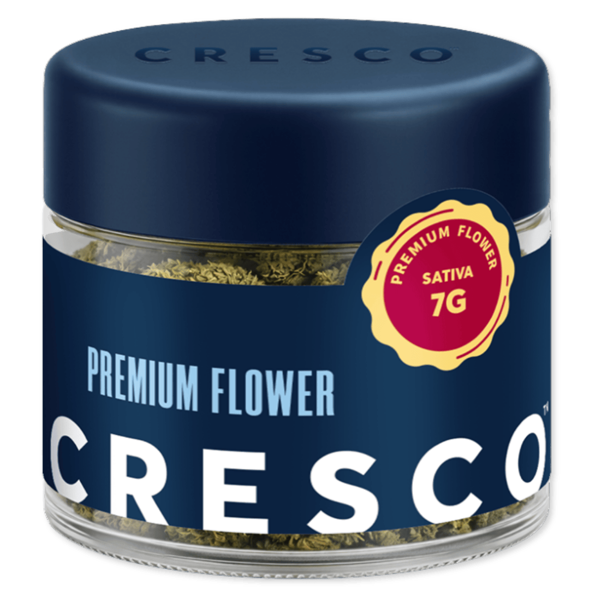 GOVERNMINT OASIS | 7G