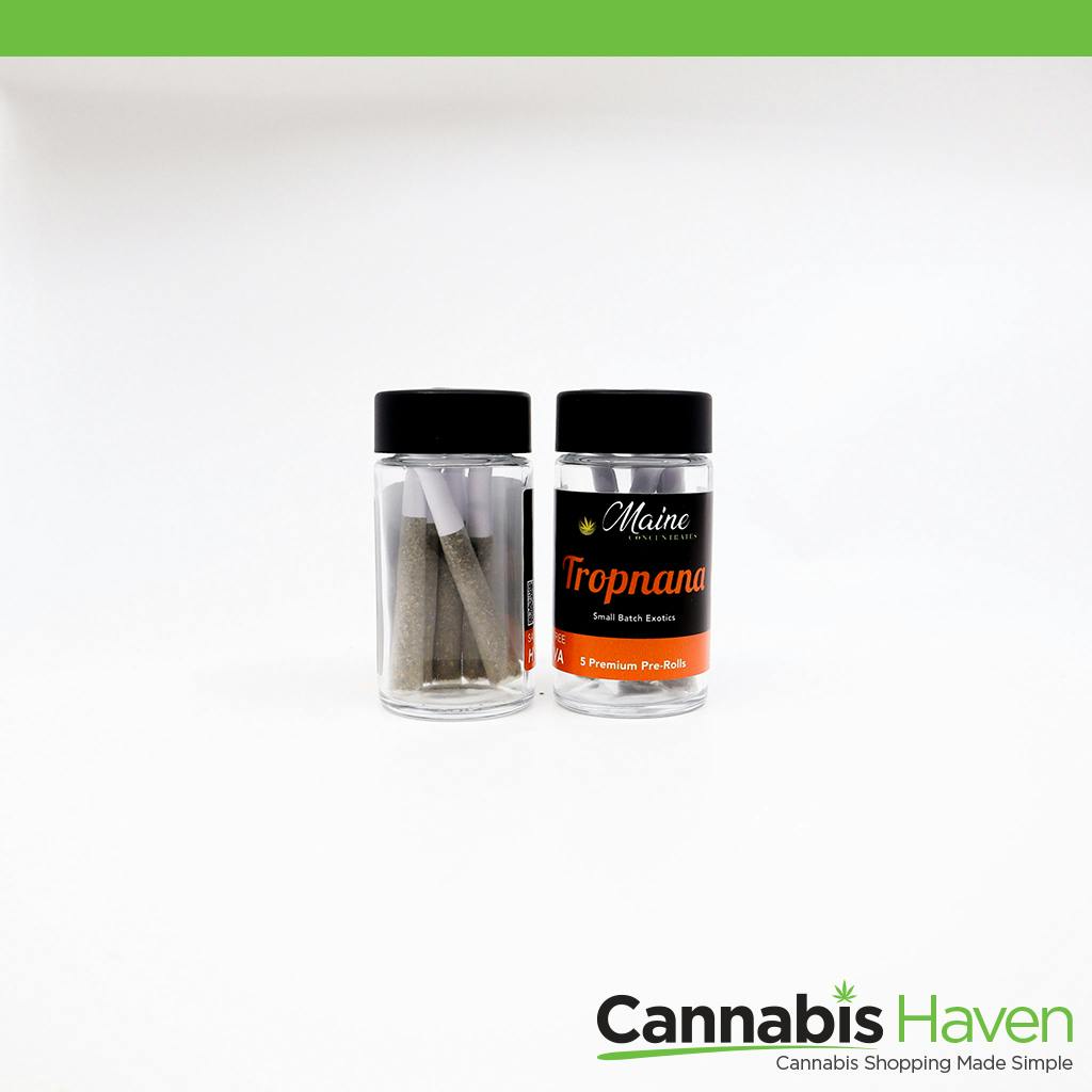 Maine Concentrates Tropnana .75g 5-PK