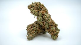 Northern Lights - Indica - Fuego
