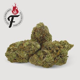Chemdawg #4 - Hybrid Sativa - Fuego