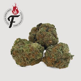 Pineapple Express - Hybrid Indica - Fuego