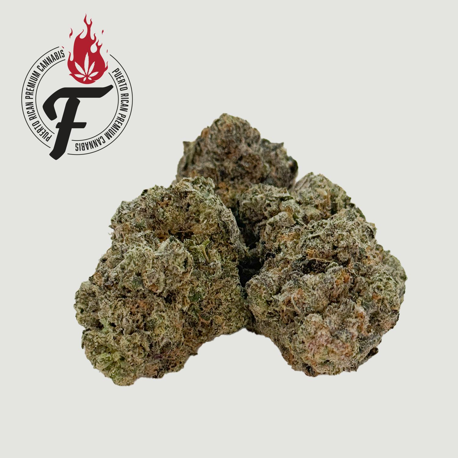 Hybrid Sativa - Fuego