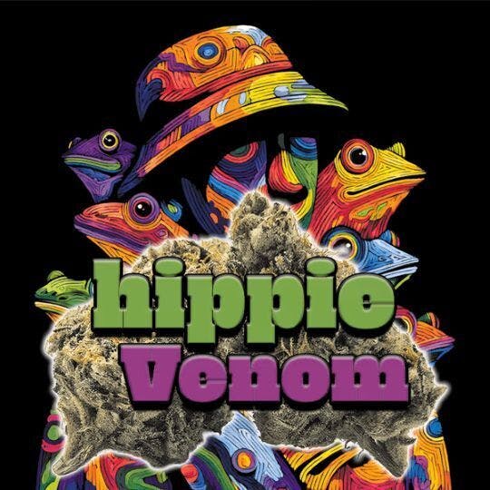 Green Dragon: Hippie Venom