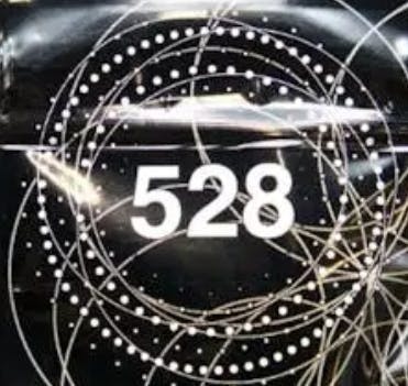 528 - Mango — Mimosa
