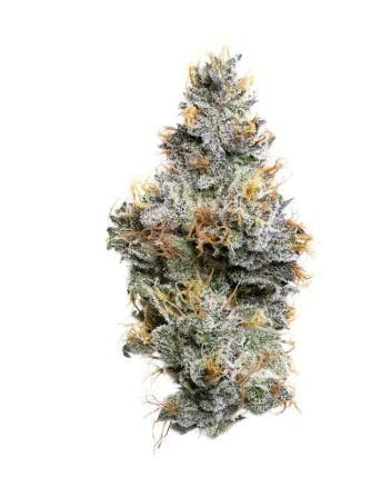 Fig Farms - Z Type-S — 3.5 Items