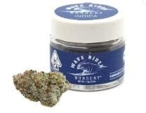 Tangie 1.2g Rosin Infused Preroll