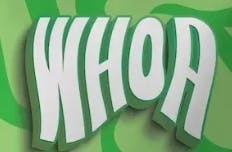 Whoa - Grape | 1:1 CBN:THC | 100mg Gummy