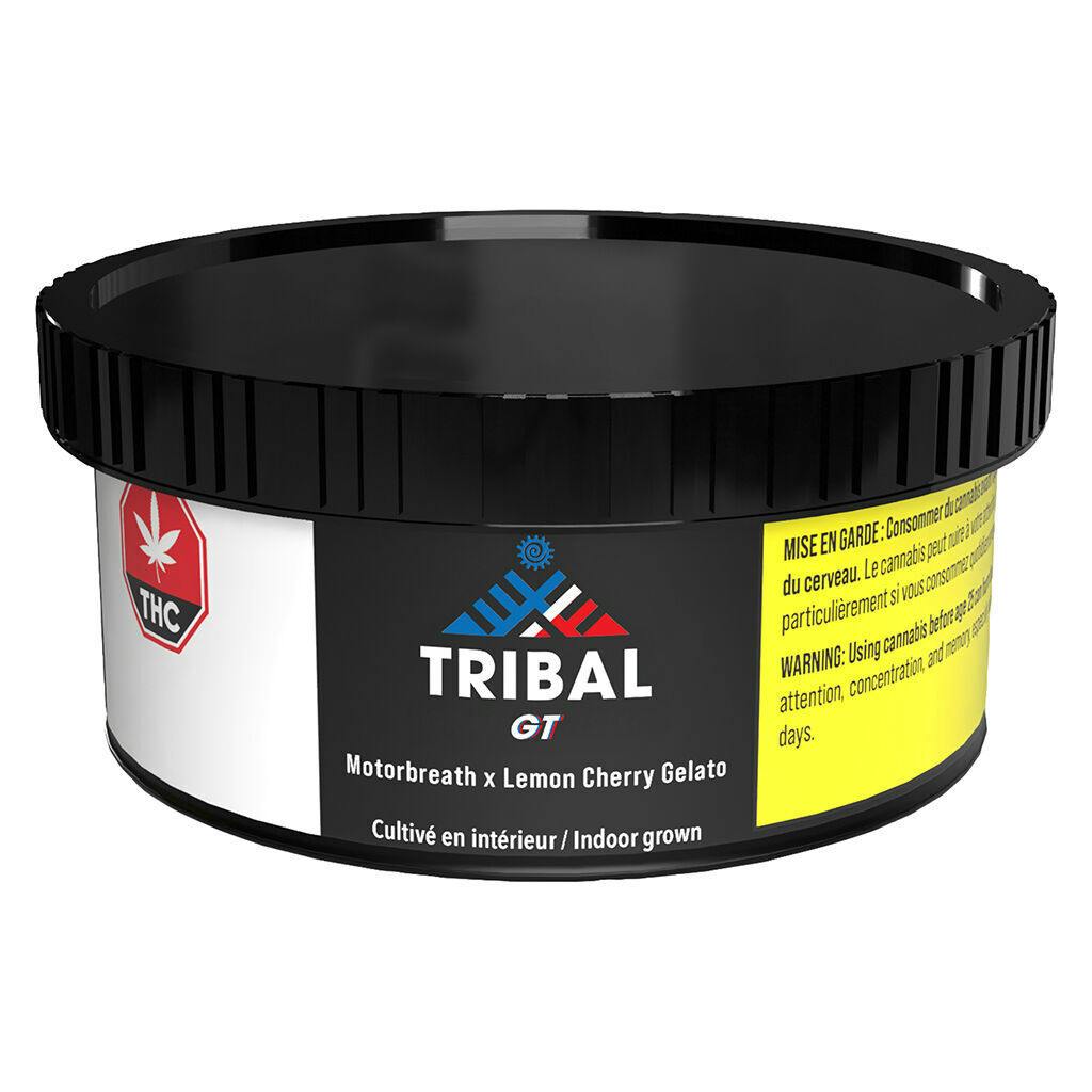 GT - 3.5g