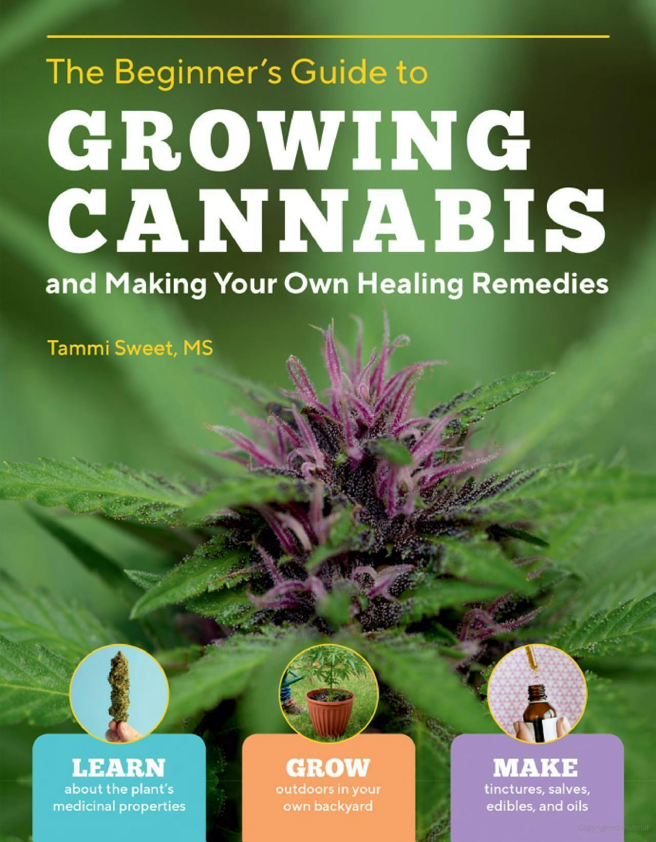 The Beginner's Guide to Growing Cannabis - Regular