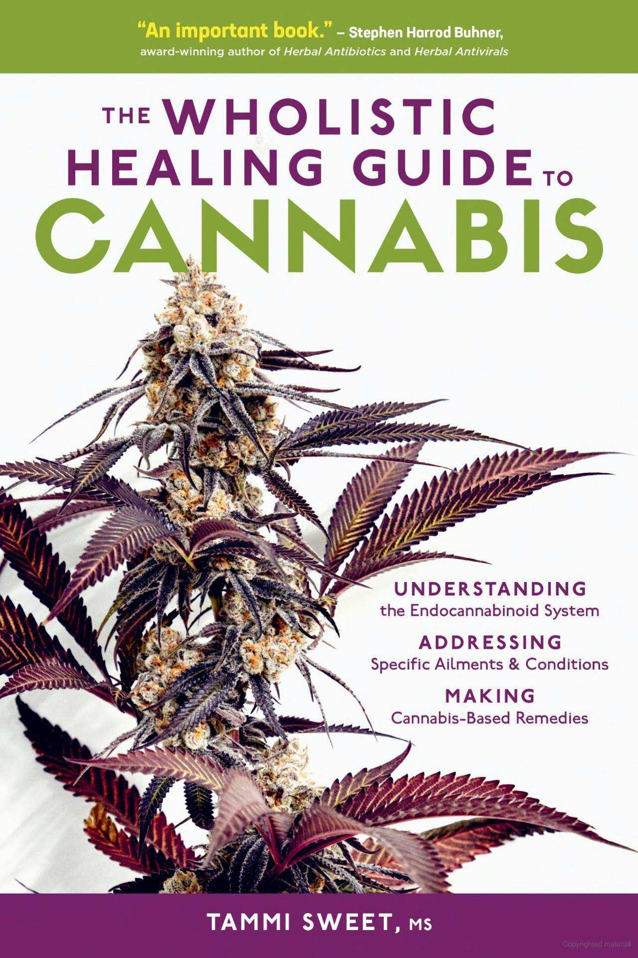 The Wholistic Guide to Cannabis - Regular