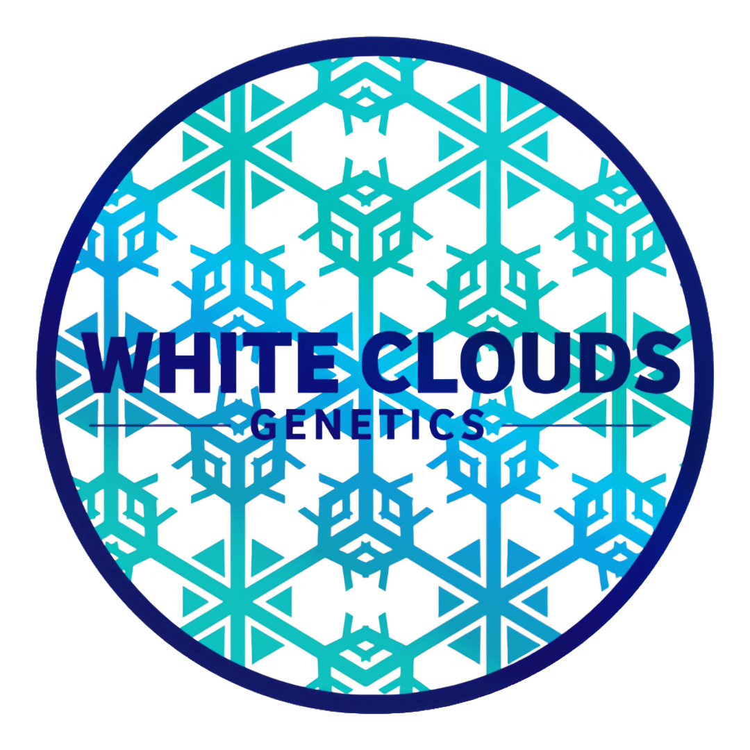 White Clouds Genetics Seeds