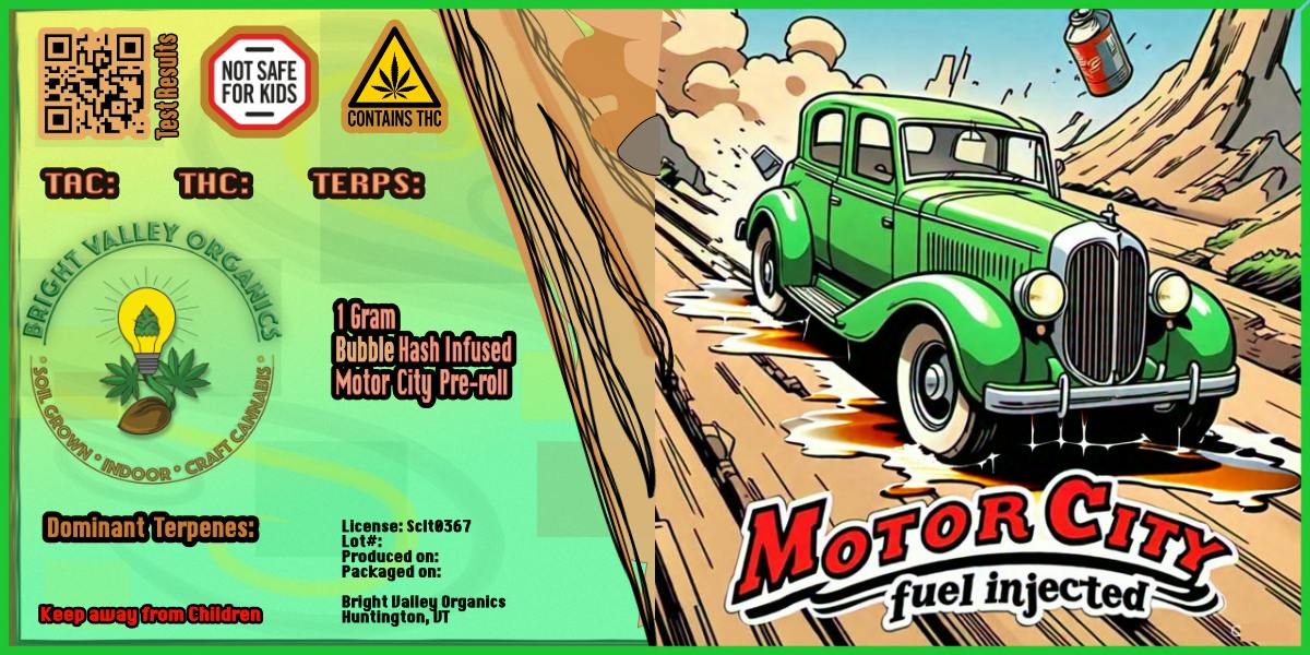 Motor City Fuel Injected, 1.3g Infused Pre-Roll at True 802 Cannabis
