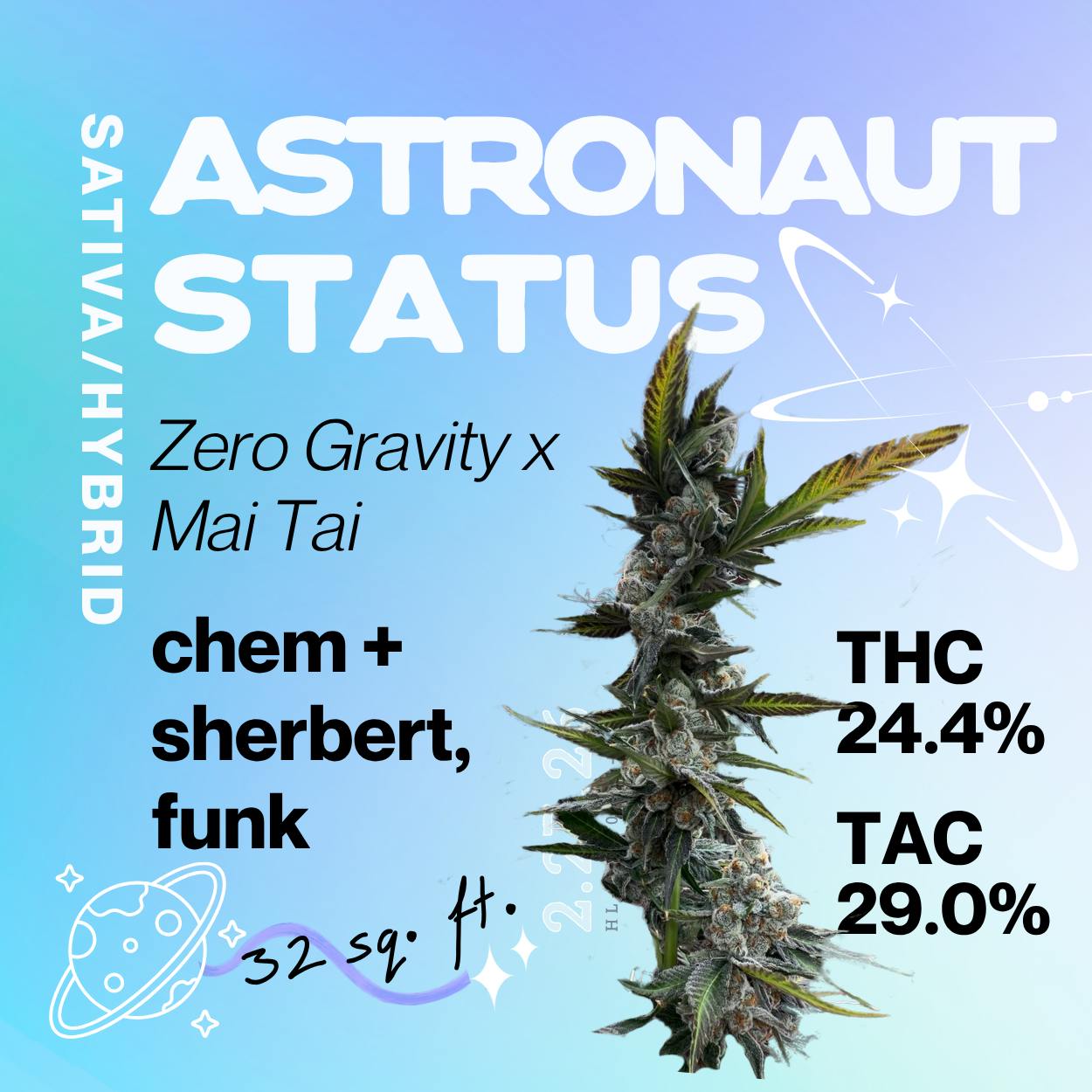 Astronaut Status at True 802 Cannabis